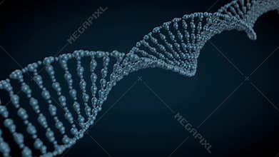 Animated DNA chain model. 3D
