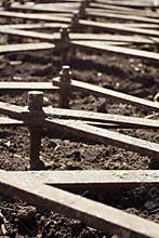 Element of the unit for plowing the earth