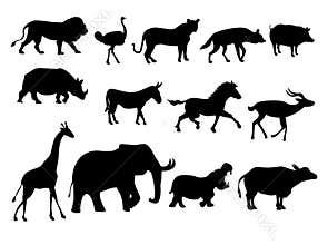 African animals silhouette