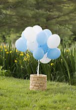 Hot Air Balloon