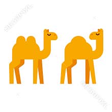 Cartoon camel illustration