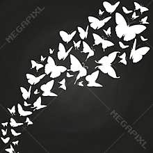 White butterflies silhouettes on chalkboard