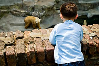 Boy at the Zoo