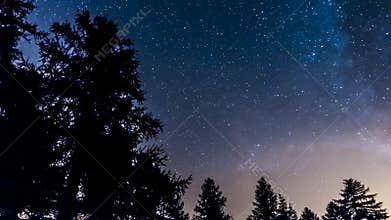 Timelapse stars and milky way in mountain woods. Italy