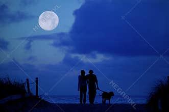 Moonlight Walk