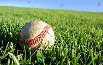 Vector Baseball On Grass