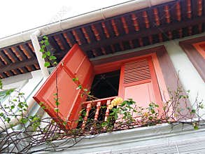 Window with flower climbers