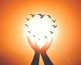 Hands Releasing Birds Into Bright Light Freedom Hope Concept