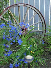 Blue Flowers & Wagon Wheel