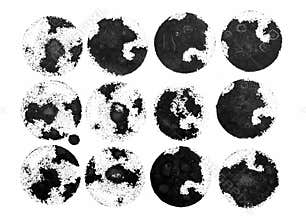 Beautiful watercolor black design elements