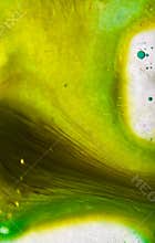 Abstraction paint