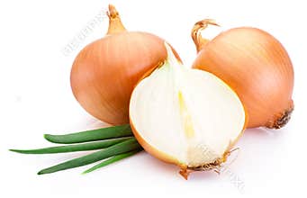 Cut fresh bulbs of onion on white background
