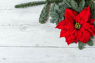 Christmas greeting card background