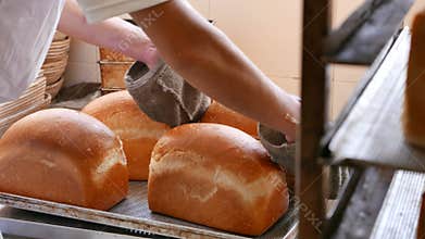Bread Taken from Hot Pans to Cool