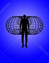 Toroidal field around heart