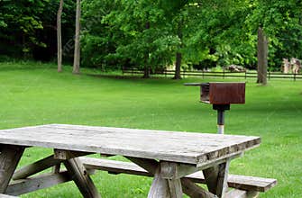 Picnic Table and Grill in Park