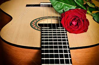 Classical guitar and rose.