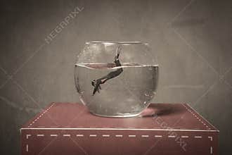 Immersion in a fish bowl