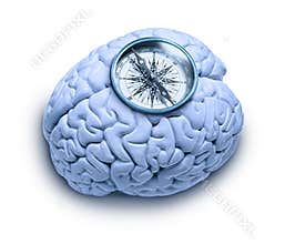 Moral Compass Ethics Brain Business Morality