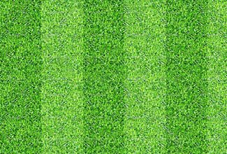 Seamlessly green grasses texture background.