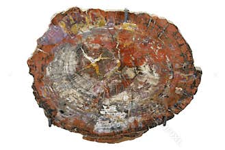 Petrified Forest National Park - Arizona.