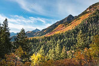 Autumn foliage in the mountains