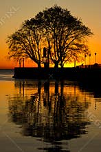 Tree reflections sunrise