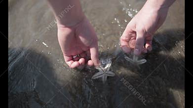 Starfish on beach