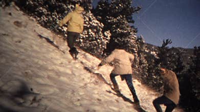 (8mm Vintage) 1965 Cut Your Own Colorado Christmas Tree Montage