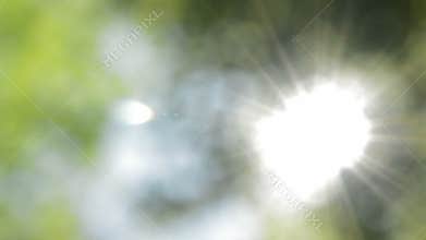 Defocused nature background. Sunny blurred lights.
