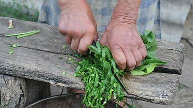 Old woman cutting beet