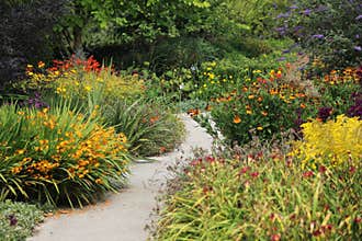 Flower Garden With Path