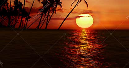 High quality perfectly seamless loop of sea ocean waves movement on sunset with palm island in background