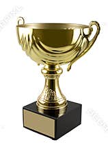 Trophy Cup