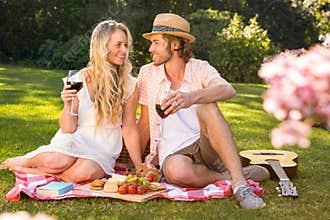 Happy couple having a picnic and drink red wine