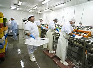 Fish processing