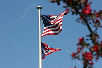 Flowers and Freedom II