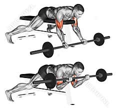 Exercising. Lying high bench barbell curl