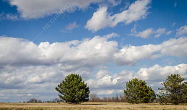 Blue sky, clouds,  trees, nature