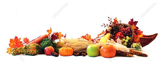 Cornucopia border