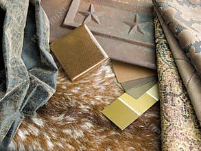 Southwestern interior design plan