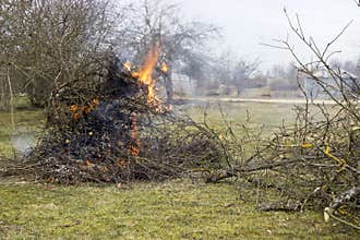 Dry apple branches fire