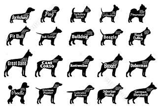 Vector dog silhouettes collection on white. Dogs breeds
