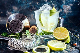 Gin tonic alcoholic cocktail with ice and mint. Cocktail drinks served at restaurant, pub or bar