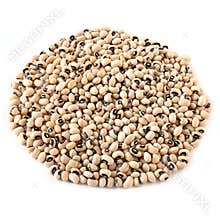 Black-Eyed Peas Isolated