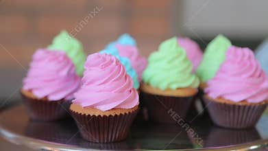 Colored cupcakes on a tray