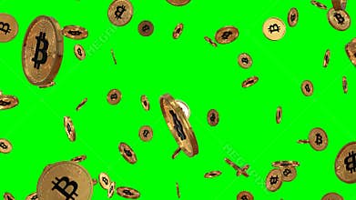 Detailed golden bitcoin rain on greenscreen