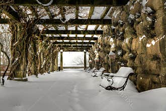Biltmore's Arbor In Snow
