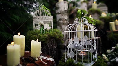 Beautiful wedding decor with candles, birch logs