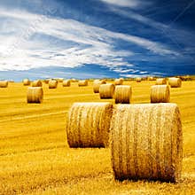 Amazing Golden Hay Bales
